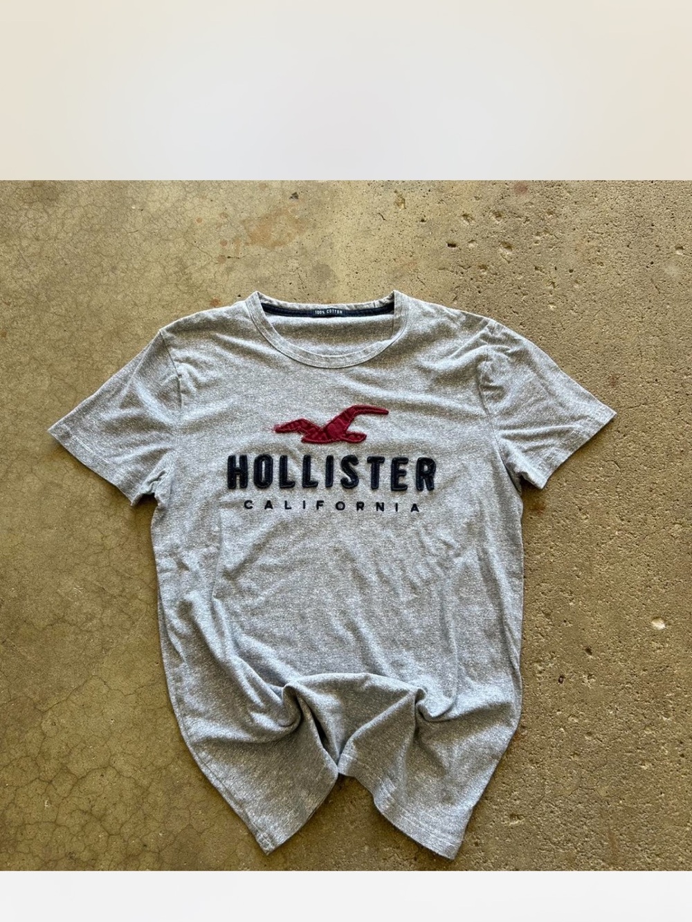 Hollister Heather Gray Tee with Red Seagull and Navy Logo